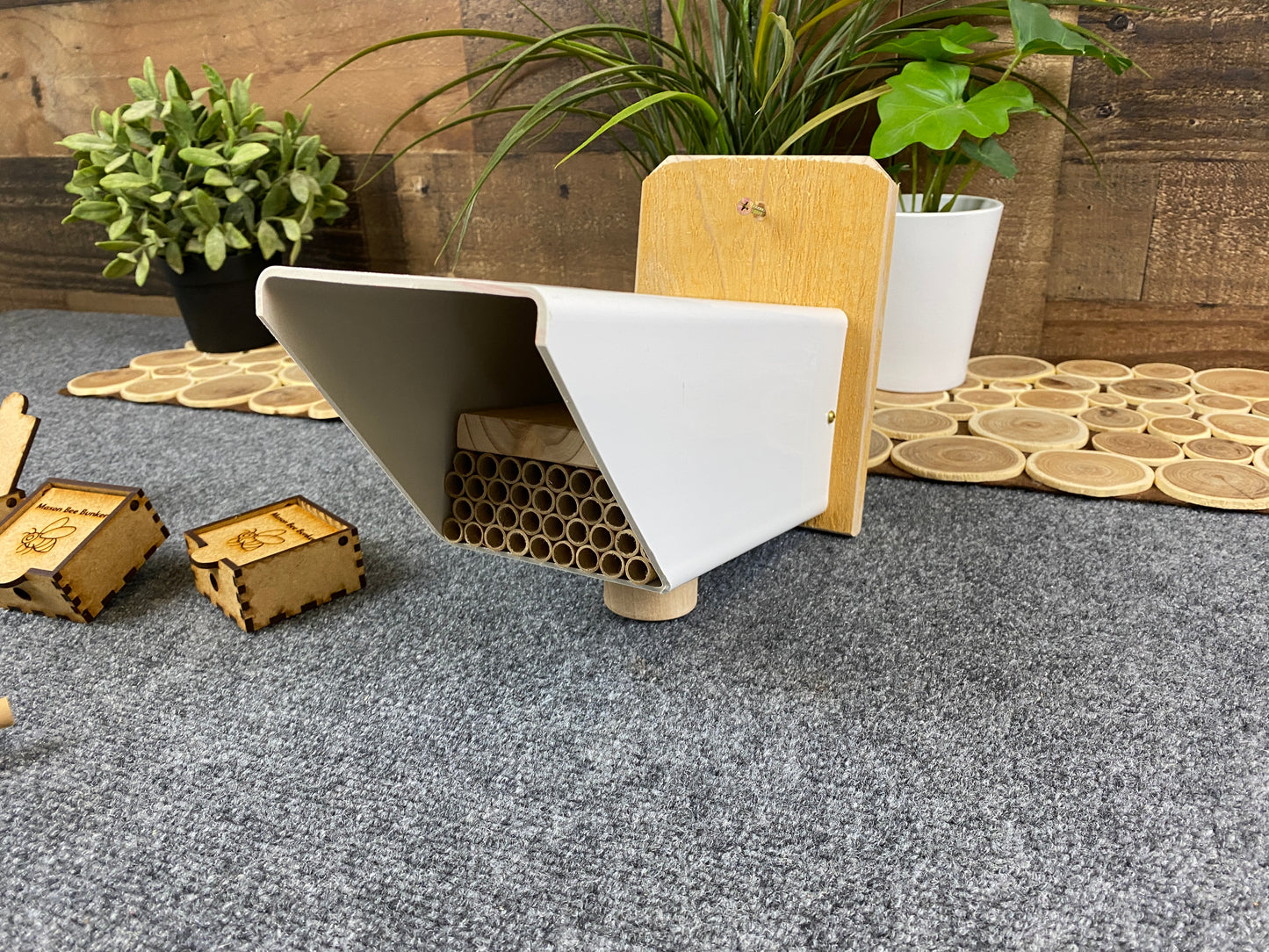 8160 Mason Bee Kit