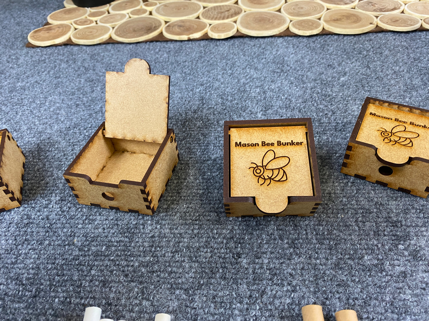 8160 Mason Bee Kit
