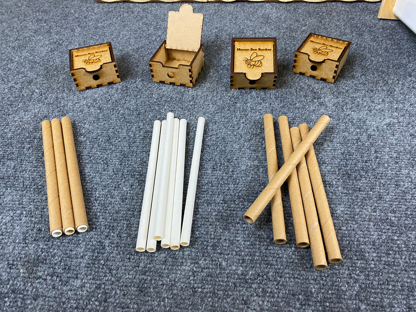8160 Mason Bee Kit