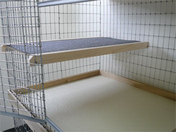 2010 Bunny Abode Party Deck (for 48 inch Condo)