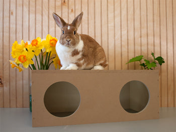 2315 Petwerks Bunny-N-Clyde Mega Hideout