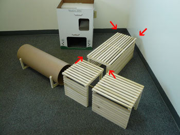 5415 Bunny Playland - 30 inch 2-way TUNNEL